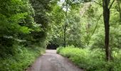 Tocht Stappen Hoei - Vallée de la Solière - Photo 10