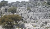 Percorso A piedi Grazalema - SALTO DEL CABRERO - Photo 2