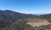 Trail Walking Collioure - MADELOC depuis col de la serra, via col formigo,  batterie 500, madeloc, col tellaferra  - Photo 13