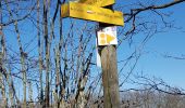 Tocht Stappen Pollionnay - Col de la Luère  - Photo 4