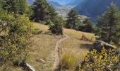 Randonnée Marche La Roche-de-Rame - la grande barre par cabane des aiguilles  - Photo 10
