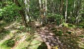 Randonnée Marche Chamarande - Forêt Départementale du Belvédère à Chamarande - Photo 8