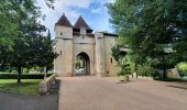 Tocht Stappen Cazaubon - Boucle Barbotan - Nord Est - Photo 1