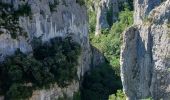 Trail Walking Oppedette - 84-gorges_oppedette_7km240m - Photo 14