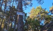 Tocht Stappen Fontainebleau - T1-Grotte Beatrix  - Photo 7