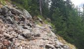 Randonnée Marche Saint-Martin-Vésubie - Cime de Piagu. Boreon - Photo 8