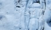 Randonnée Raquettes à neige Tubize - Sortie raquettes dans la réserve Natagora du Coeurcq - Photo 2