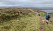 Excursión Senderismo West Cork - Bere Island - Photo 7