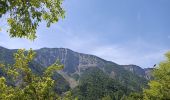 Percorso Marcia Le Bourg-d'Oisans - Boucle Bourg d'Oisans - Photo 1