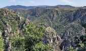 Tocht Stappen Pourcharesses - au coeur des gorges du chassezac au départ de Villefort  - Photo 1