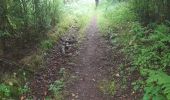 Tour Wandern Paliseul - Marche ADEPS à Carlbourg. 9 km 200 - Photo 7