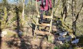 Trail Walking Loubressac - loubressac - Photo 5