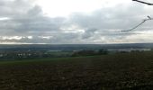 Trail Walking Oissel - 20231128-les essarts cool - Photo 3