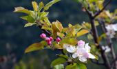 Tour Wandern Toulon - SityTrail - 4 Chemins des Routes - Le Croupatier - Le Broussan - Col du Corps de Garde - Photo 5