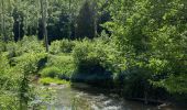 Tour Wandern Doische - Vallée de l'Hermeton - Photo 3