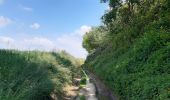 Tocht Stappen Huldenberg - petite rando autour du kinderveld  - Photo 8