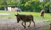 Tour Wandern Braine-l’Alleud - 2019-05-18 Maison Waterloo Rhode retour 18 km - Photo 4