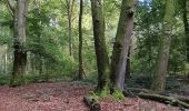 Randonnée Marche Seraing - ptit tour par les ptits chmins du bois de sraing - Photo 9