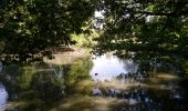 Trail Walking Tours - Tours - 6.7km 40m 1h20 - 2017 03 26 - Photo 1