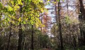 Tour Wandern Marche-en-Famenne - Promenade vers le site naturel du fond des vaulx  - Photo 6