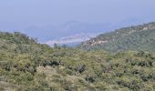 Trail Walking Sainte-Maxime - Vers Peigros - Photo 8