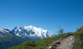 Tour Wandern Chamonix-Mont-Blanc - Aiguillette des Posettes - Photo 18