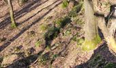 Randonnée Marche Durbuy - Heyd avec le chemin des crêtes  - Photo 18