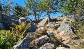 Tocht Stappen Metzeral - Petit-Ballon via Col du Hilsenfirst - Photo 18