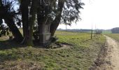 Tour Zu Fuß Reken - Waldkapelle Rundweg A3 - Photo 4