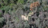 Trail Walking Roquebrune-sur-Argens - La Bergerie - Piste des Clapiers - Bastide Abbe - Photo 4