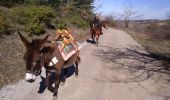 Trail Donkey back riding Livron-sur-Drôme - Abiche toundra - Photo 20