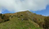 Trail Walking Bilhères - BILHERES en OSSAU pic des escurets G3 - Photo 7