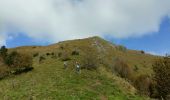 Tour Wandern Bilhères - BILHERES en OSSAU pic des escurets G3 - Photo 7