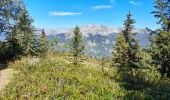 Tour Wandern Manigod - ARAVIS: PLATEAU DE BEAUREGARD - Photo 13