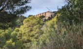 Trail Walking Gruissan - La Clape - La Chapelle des Auzils - Photo 1