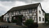 Tocht Te voet Heimbach - Heimbacher Burgen - Photo 4