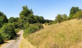 Trail On foot Warburg - A9 Rundwanderweg Hardehausen - Photo 4