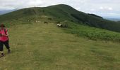 Tour Wandern Ainhoa - Ainhoa tour d’errebi par col des trois croix  - Photo 4