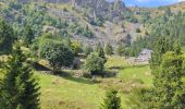 Trail Walking Le Valtin - Les quatre lacs - Photo 7