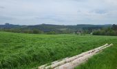 Tour Wandern Paliseul - Our Opont 090524 - Photo 8