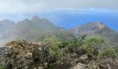 Excursión Senderismo Buenavista del Norte - PR TF59 Mirador Cruz de Hilda -Masca  - Photo 9