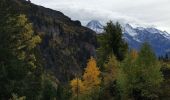 Tocht Stappen Passy - CHAMONIX ... par les Ayères.  - Photo 4