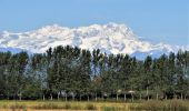 Tour Wandern Vercelli - CR_Francigena_BA_12_Verceil_Robbio_20190909 - Photo 2