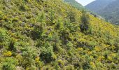 Trail Walking Pierlas - PIERĹAS FFRS - Photo 4