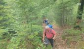 Trail Walking Saulcy-sur-Meurthe - Massif du KEMBERG - Photo 17