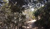 Trail Walking Hyères - Port Cros est - Photo 10