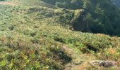 Tocht Stappen Larrau - GR 10 - 10ème étape : Logibar - plateau d’Ardakhotchia - Sainte Engrâce - Photo 1