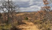 Tour Wandern Entrevennes - ensales  . ajonc - Photo 2