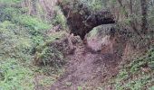 Trail Walking Le Mesnil-Simon - Le Mesnil Simon - Photo 10
