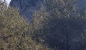 Tocht Stappen Cheval-Blanc - Régalon - Trou du Rat - vallon de la Roque Rousse - Photo 2